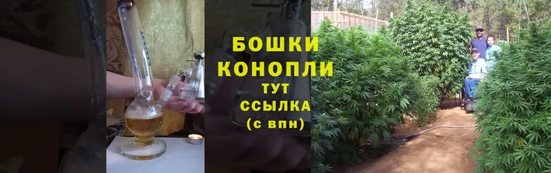 Шишки марихуана White Widow  закладка  Ливны 